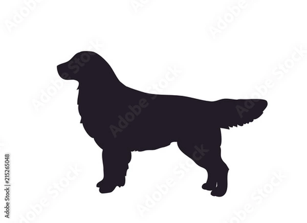 Obraz dog stands, silhouette, vector