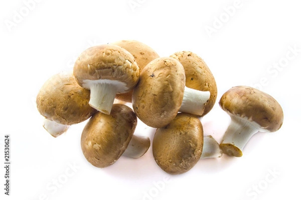 Fototapeta Champignons