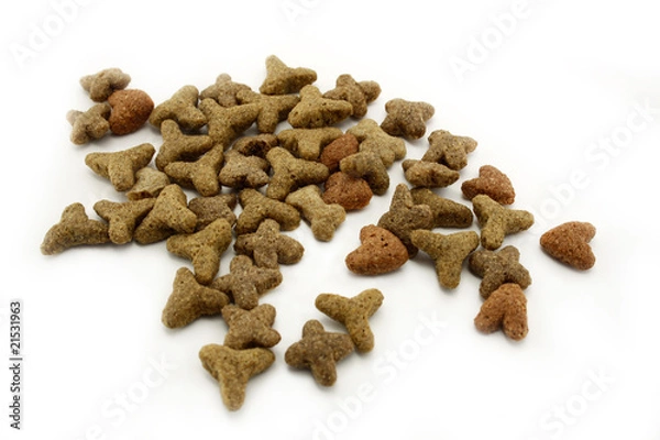 Fototapeta Dry cat food