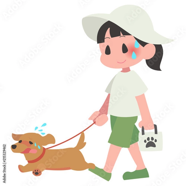 Obraz 熱中症　ペット　犬　散歩　女性