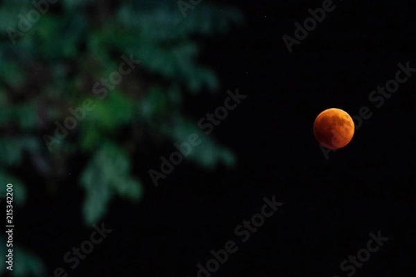 Fototapeta total lunar eclipse (red moon) of 27 July 2018
