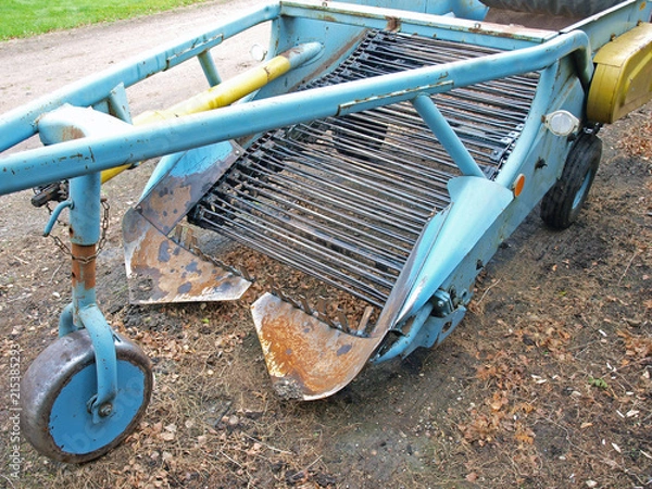 Obraz Potato harvester