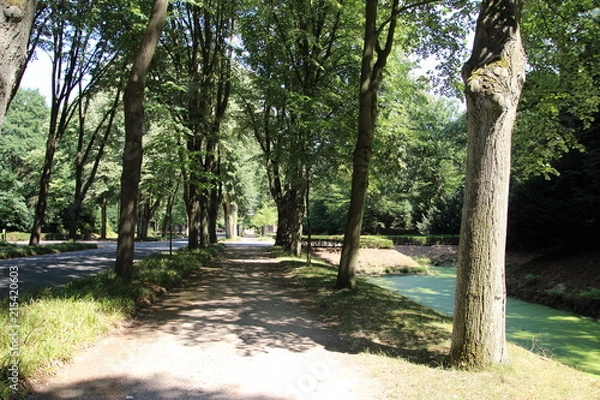 Obraz park