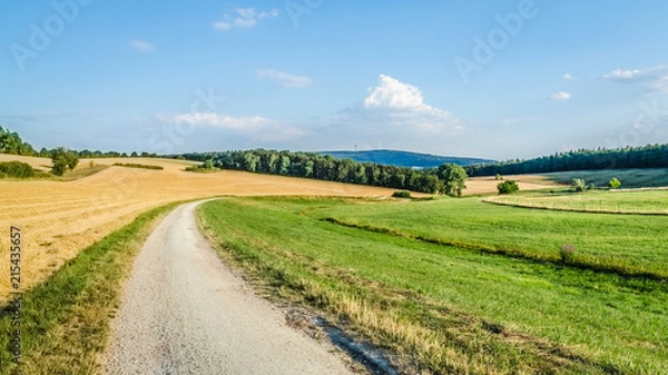 Obraz Landschaft, Feldweg und Felder in Taunusstein