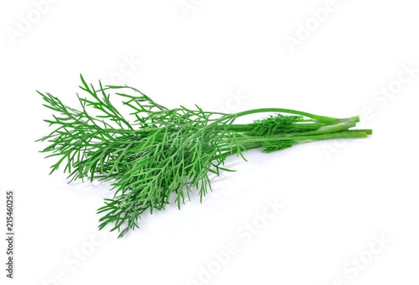 Obraz dill isolated on white background