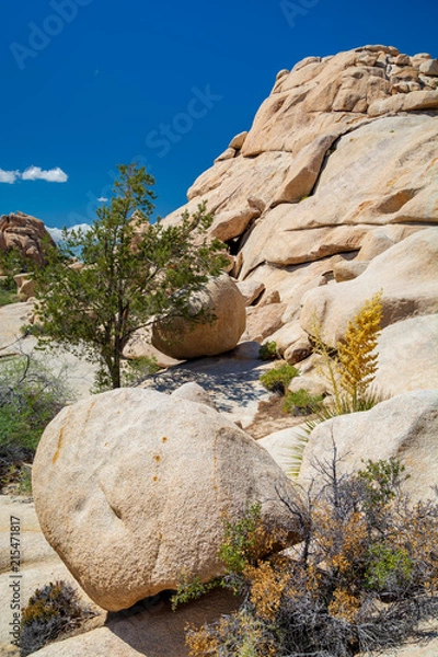 Obraz Joshua tree boulders