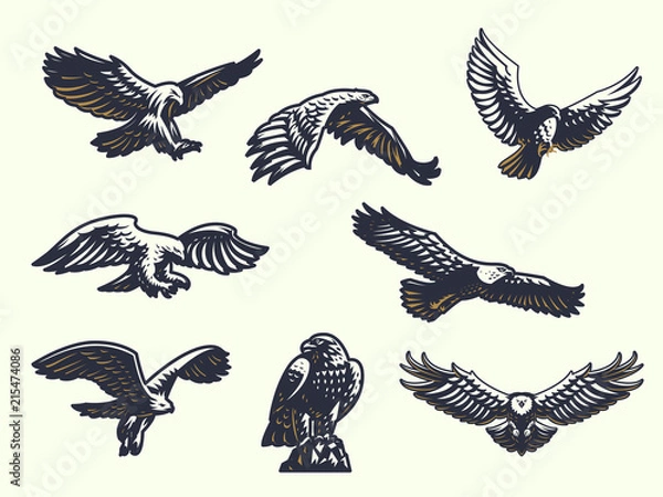 Fototapeta Set of vector eagles. 