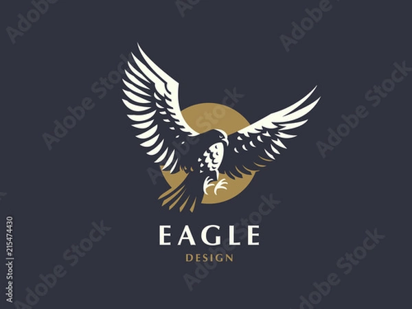 Fototapeta The flying eagle. 