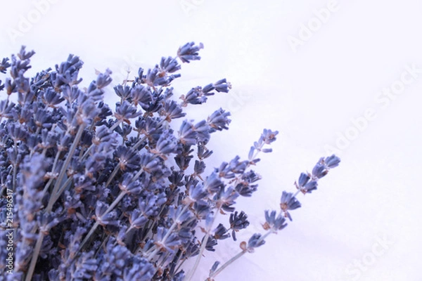 Fototapeta Lavander bouauet isolated on white background
