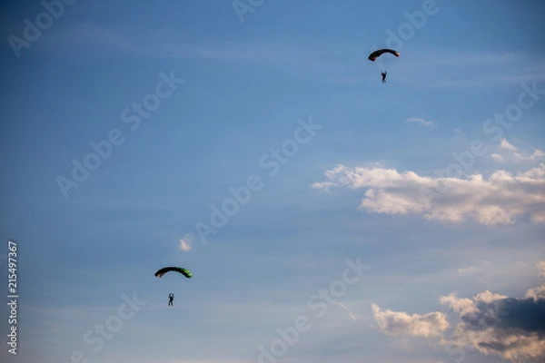 Fototapeta Shapes of paragliders against the background of a slightly cloudy sky