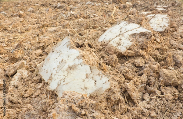 Fototapeta Salt stains on soil surface