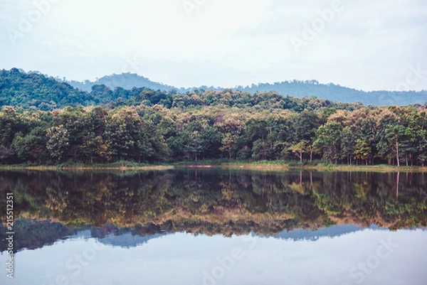 Fototapeta Tree shadow on the river