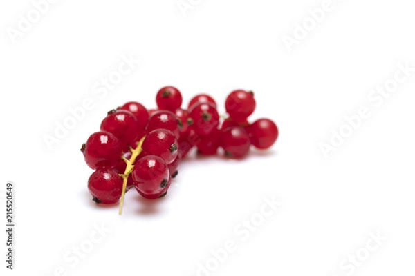 Fototapeta Johannisbeeren auf weissem Hintergrund