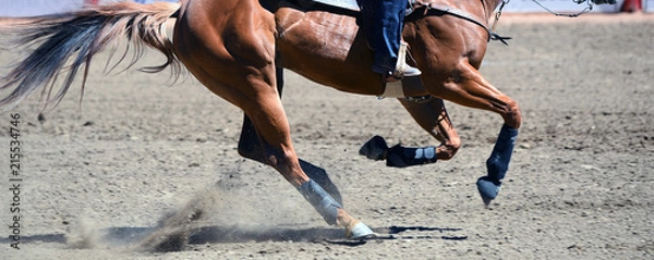 Obraz Bieg konia