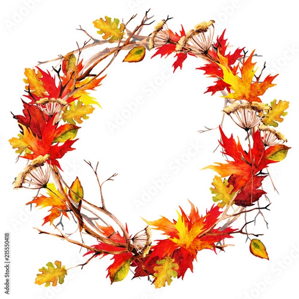 Fototapeta Wreath of branches and sticks, twigs, dry flower, Autumn maple leaves. Watercolor, isolated on white background.