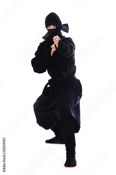 Obraz ninja