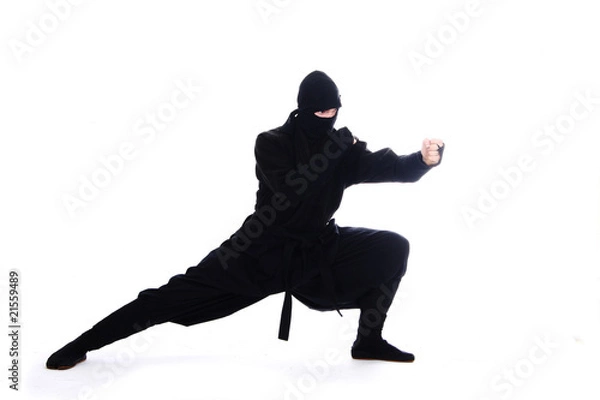 Fototapeta ninja