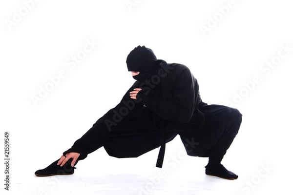 Fototapeta ninja