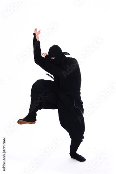 Obraz ninja