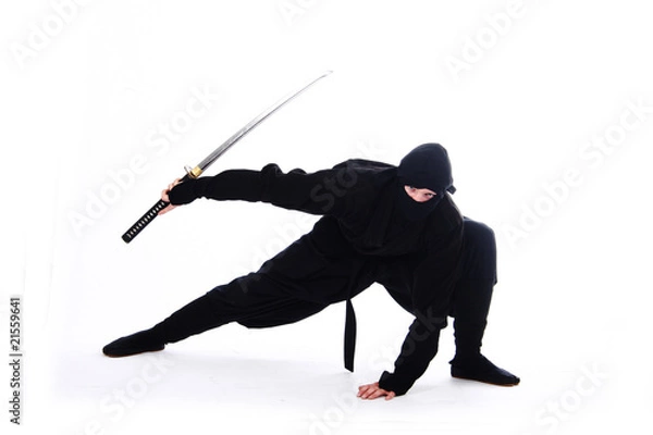 Fototapeta ninja