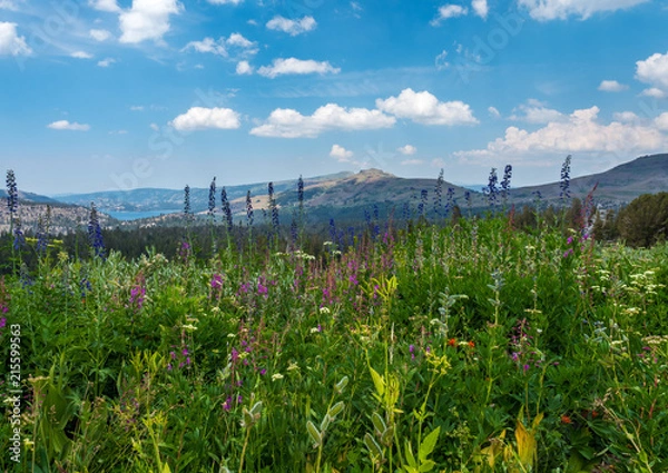 Obraz WINNEMUCCA LAKE