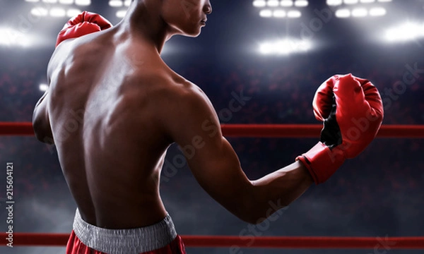 Fototapeta Boxer on the ring