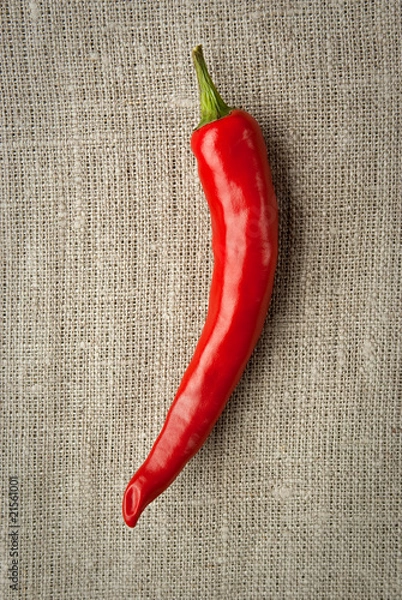 Obraz pepper on the canvas background