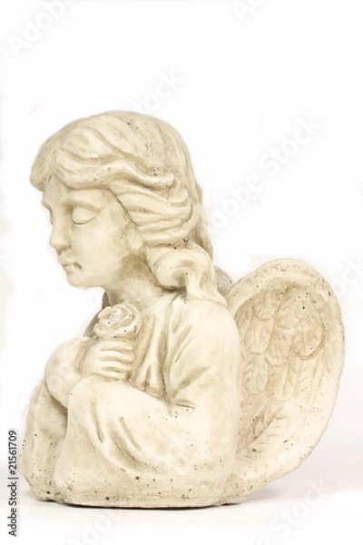 Obraz weißer Engel mit Rose