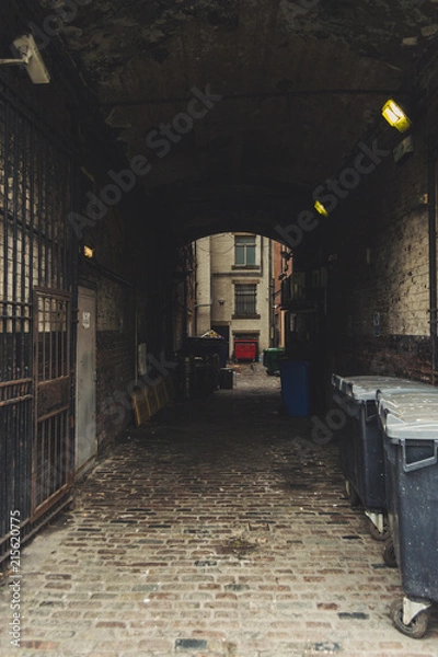 Fototapeta Dark and old alley. Creepy passage with trash bins, windows and surveillance camera. Urban scene of Leeds, England, UK.