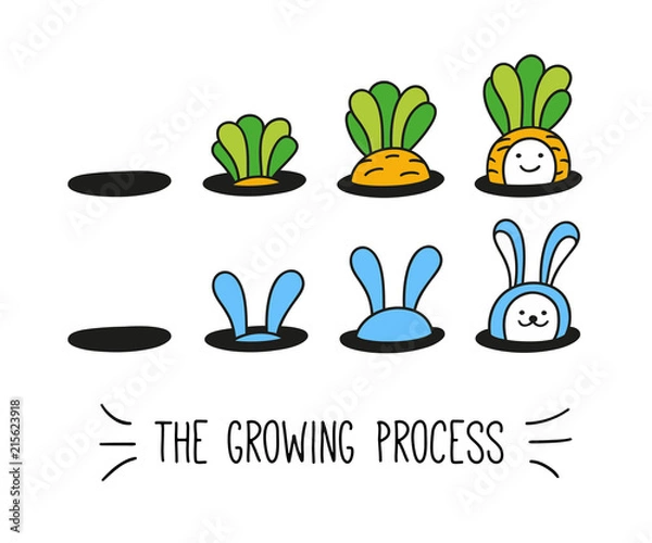 Obraz the growing process