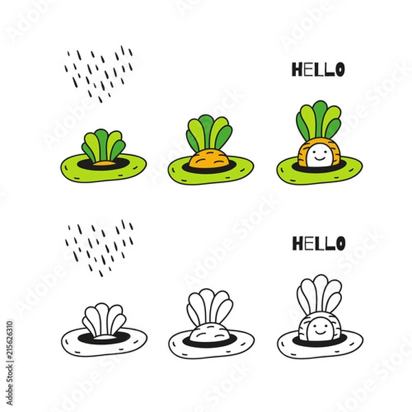 Fototapeta Hello little carrot!