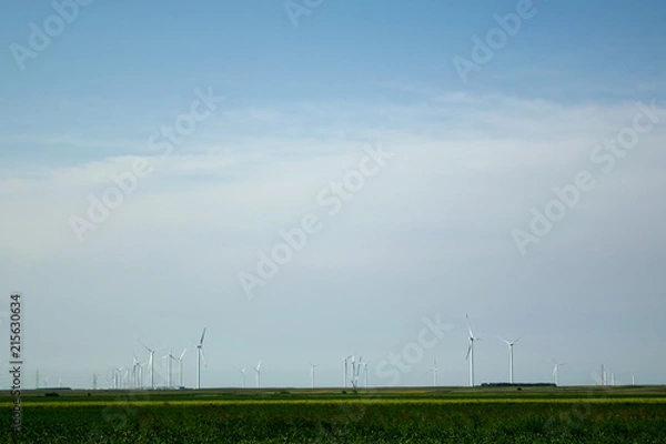 Obraz Wind generator turbines at green fields
