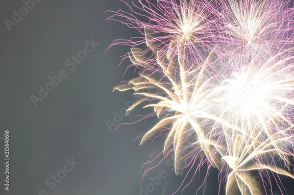 Fototapeta 花火