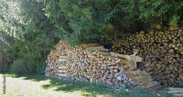 Obraz Holzscheite am Waldrand