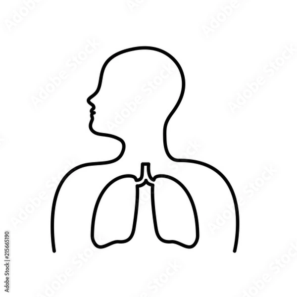 Obraz Lungs line vector icon on white background. Human lungs silhouette lungs vector icon.