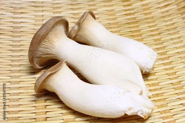 Fototapeta エリンギ