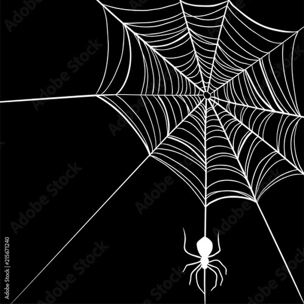Fototapeta Vector spider web and small spider on a white background.