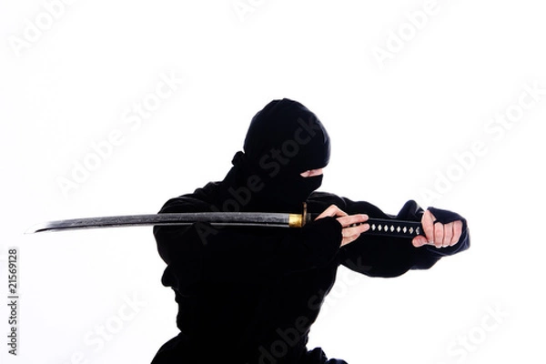 Fototapeta ninja