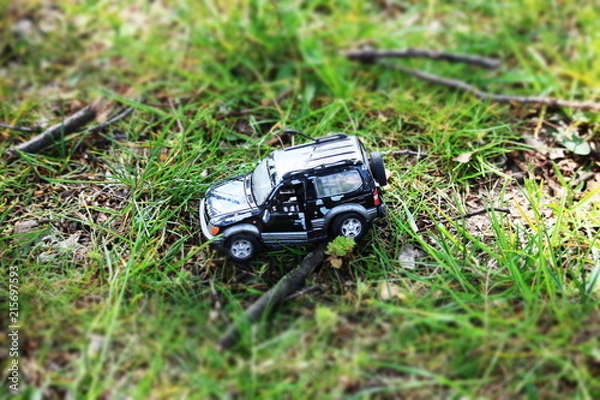 Obraz Miniaturauto