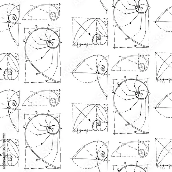 Obraz golden section pattern