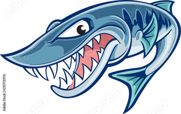 Fototapeta Barracuda