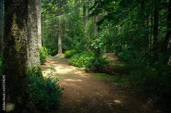 Fototapeta Oregon Trip