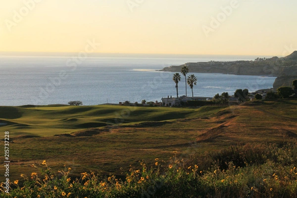 Obraz ocean front property