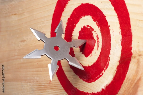 Fototapeta Target and the throwing weapon close up.