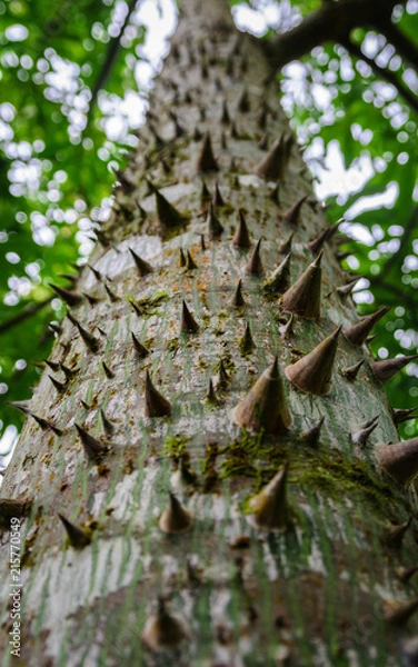 Fototapeta Natures Self Defence