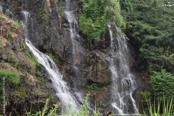 Obraz Spring Mountain Water