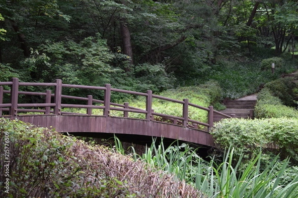 Obraz Arched Bridge over a Stream in the Woods