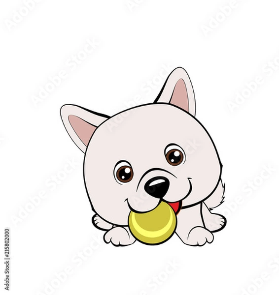Obraz Vector cartoon style drawing of a playful puppy playing with a tennis ball.Australian shepherd cartoon. Eskimo Dog or Spitz.