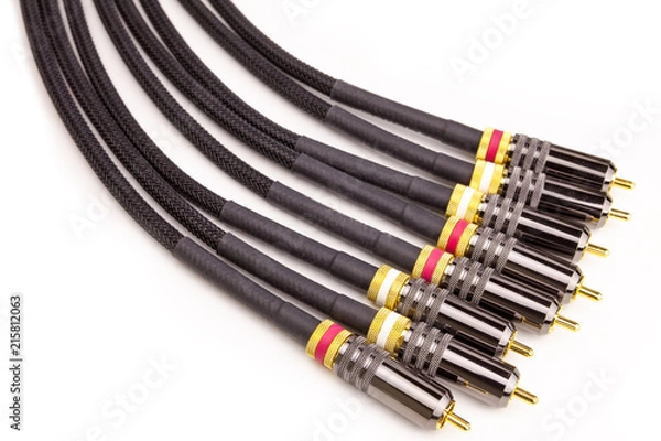 Obraz Audio Video connectors isolated on white background