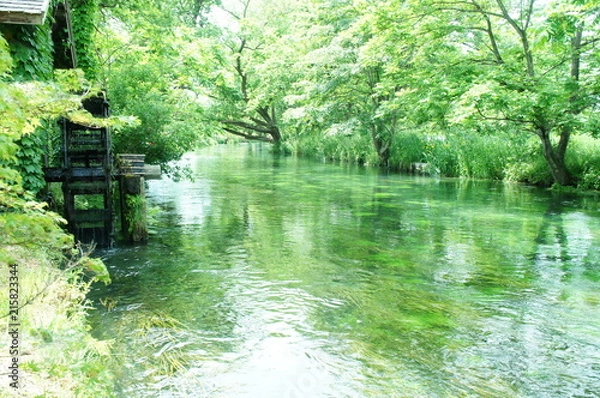 Obraz 蓼川　たでがわ　川　安曇野